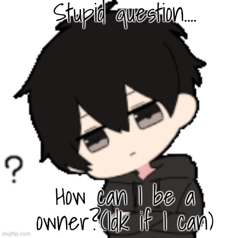 Shadow:What? | Stupid question.... How can I be a owner?(Idk if I can) | image tagged in shadow what | made w/ Imgflip meme maker