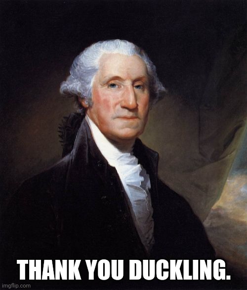 George Washington Meme | THANK YOU DUCKLING. | image tagged in memes,george washington | made w/ Imgflip meme maker