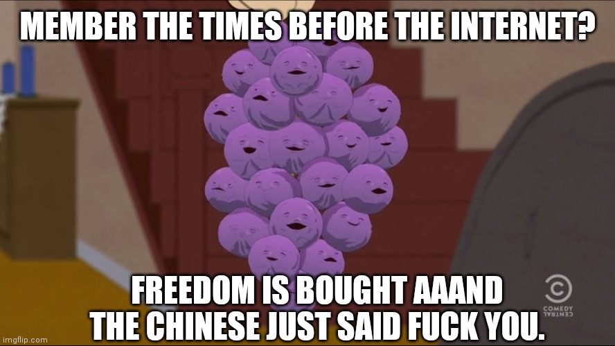Member Berries Meme | MEMBER THE TIMES BEFORE THE INTERNET? FREEDOM IS BOUGHT AAAND THE CHINESE JUST SAID FUCK YOU. | image tagged in memes,member berries | made w/ Imgflip meme maker