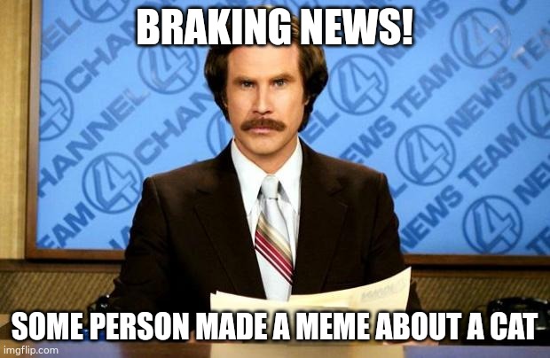 BREAKING NEWS | BRAKING NEWS! SOME PERSON MADE A MEME ABOUT A CAT | image tagged in breaking news | made w/ Imgflip meme maker