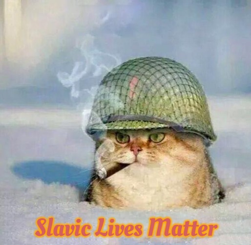 War Cat | Slavic Lives Matter | image tagged in war cat,slavic | made w/ Imgflip meme maker