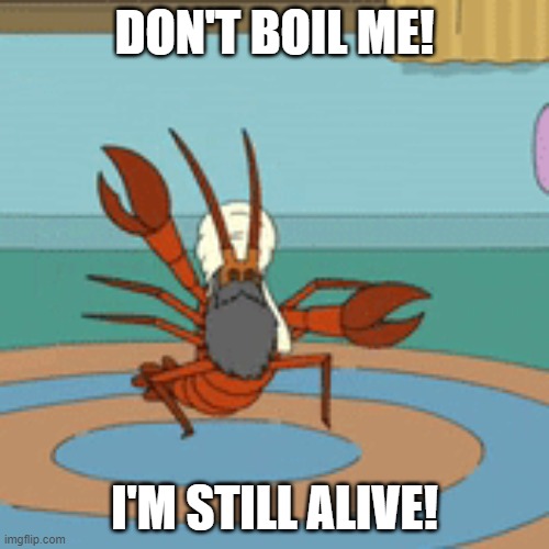 Iraq Lobster |  DON'T BOIL ME! I'M STILL ALIVE! | image tagged in funny,family guy,lobster | made w/ Imgflip meme maker