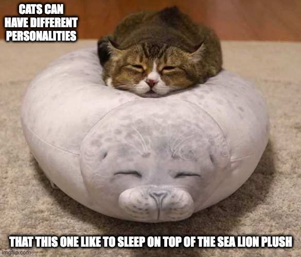 Cat on Sea Lion Plush | CATS CAN HAVE DIFFERENT PERSONALITIES; THAT THIS ONE LIKE TO SLEEP ON TOP OF THE SEA LION PLUSH | image tagged in plush,cats,memes | made w/ Imgflip meme maker