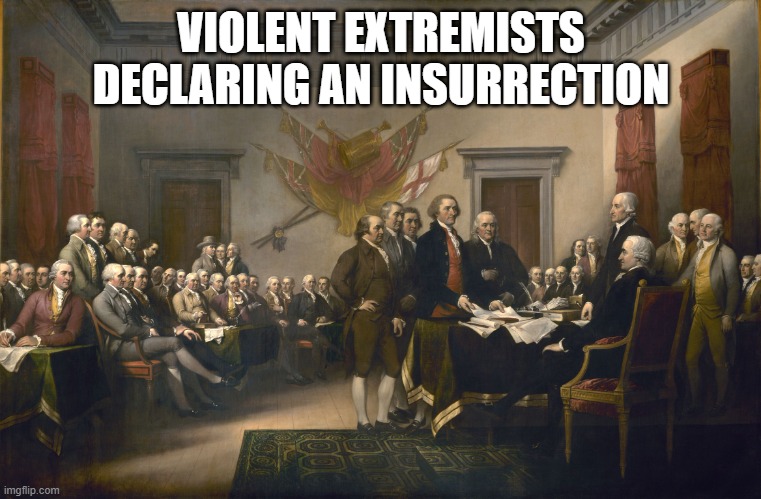 American Insurrection | VIOLENT EXTREMISTS DECLARING AN INSURRECTION | image tagged in declaration of independence | made w/ Imgflip meme maker