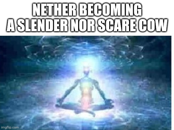 NETHER BECOMING A SLENDER NOR SCARE COW | made w/ Imgflip meme maker