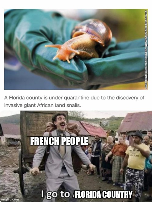 You get what it means | FRENCH PEOPLE; FLORIDA COUNTRY | image tagged in snail,french,memes | made w/ Imgflip meme maker