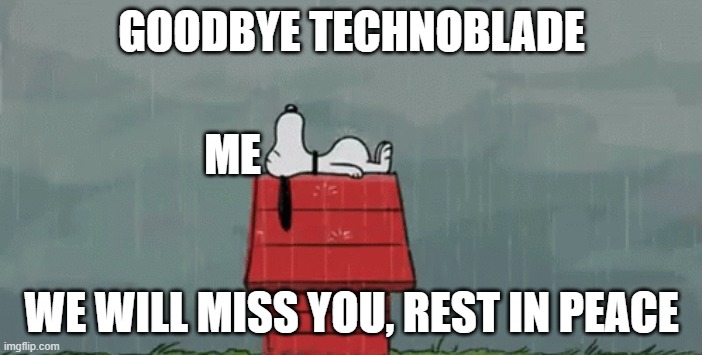 Bye technoblade | GOODBYE TECHNOBLADE; ME; WE WILL MISS YOU, REST IN PEACE | image tagged in goodbye,technoblade,sad,rest in peace | made w/ Imgflip meme maker