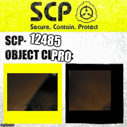 scp program launched | PRO; 12485 | image tagged in sup program | made w/ Imgflip meme maker