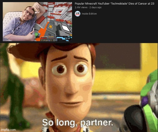 so long partner | image tagged in so long partner,woody,technoblade | made w/ Imgflip meme maker