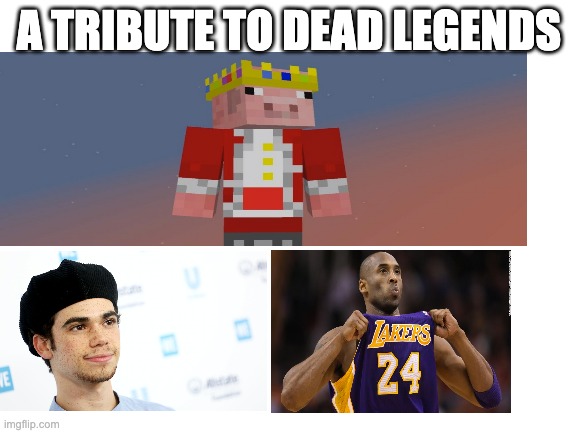 a tribute to dead legends (guy from bottom left is from disney channel) | A TRIBUTE TO DEAD LEGENDS | image tagged in blank white template,technoblade,kobe bryant,cameron boyce | made w/ Imgflip meme maker