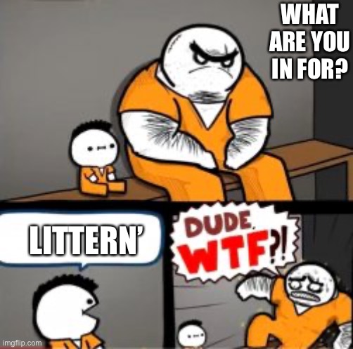 If you know you know (not many will) | WHAT ARE YOU IN FOR? LITTERN’ | image tagged in alices restaurant | made w/ Imgflip meme maker