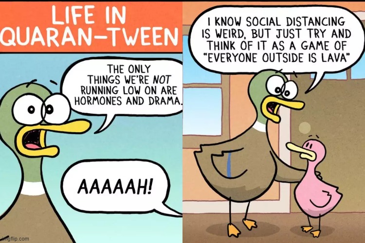 Quack in Teen | image tagged in ducks | made w/ Imgflip meme maker