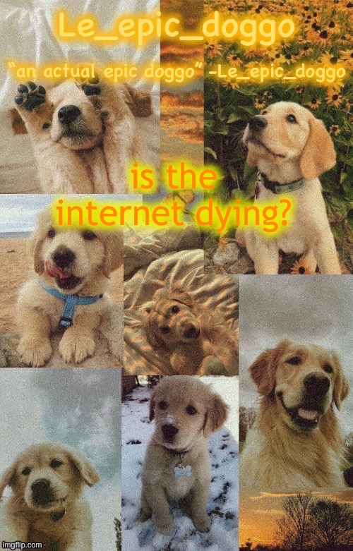Doggo temp by doggo. Wait what that’s confusing | is the internet dying? | image tagged in doggo temp by doggo wait what that s confusing | made w/ Imgflip meme maker