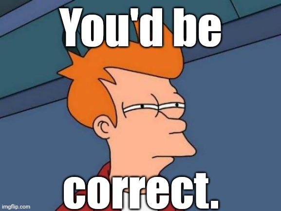 Fry is not sure... | You'd be correct. | image tagged in fry is not sure | made w/ Imgflip meme maker