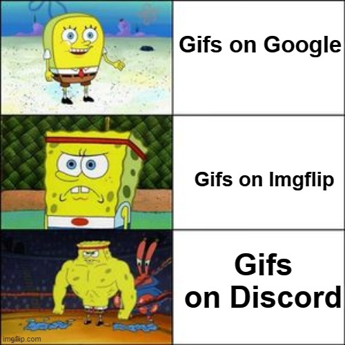 gifs | Gifs on Google; Gifs on Imgflip; Gifs on Discord | image tagged in spongebob 3 panel | made w/ Imgflip meme maker