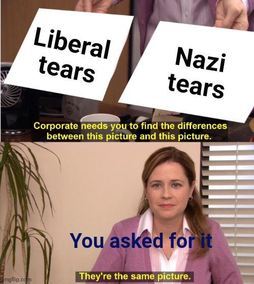 They're The Same Picture Meme | Liberal tears Nazi tears You asked for it | image tagged in memes,they're the same picture | made w/ Imgflip meme maker