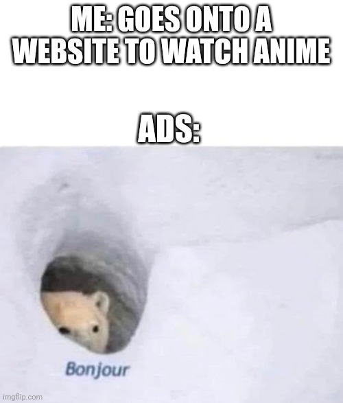 Bonjour | ME: GOES ONTO A WEBSITE TO WATCH ANIME; ADS: | image tagged in bonjour | made w/ Imgflip meme maker