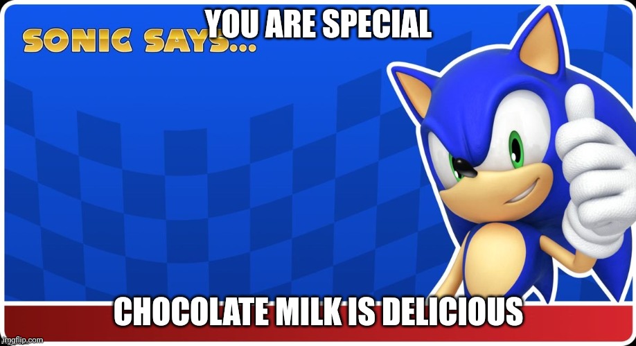 Sonic Says (S&ASR) | YOU ARE SPECIAL; CHOCOLATE MILK IS DELICIOUS | image tagged in sonic says s asr | made w/ Imgflip meme maker