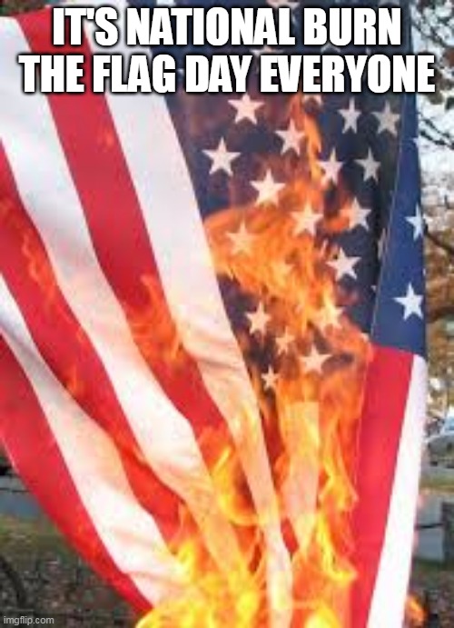 National Burn The Flag Day | IT'S NATIONAL BURN THE FLAG DAY EVERYONE | image tagged in american flag burning,burn the flag day,national burn the flag day,flag burning,national,burn the flag | made w/ Imgflip meme maker