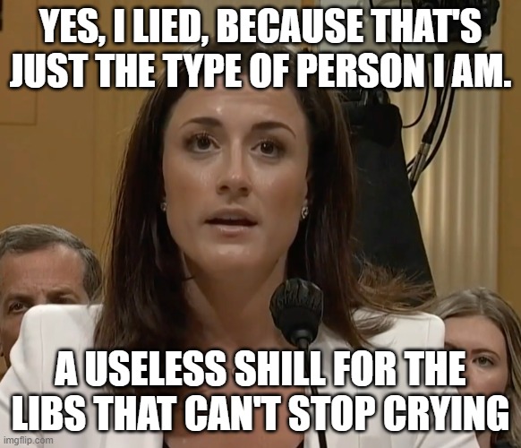 Cassidy Hutchinson | YES, I LIED, BECAUSE THAT'S JUST THE TYPE OF PERSON I AM. A USELESS SHILL FOR THE LIBS THAT CAN'T STOP CRYING | image tagged in cassidy hutchinson | made w/ Imgflip meme maker