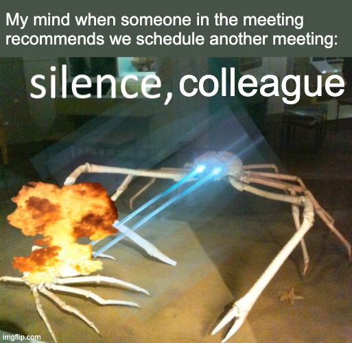 Silence Crab | My mind when someone in the meeting recommends we schedule another meeting:; colleague | image tagged in silence crab | made w/ Imgflip meme maker