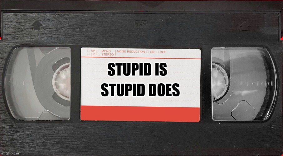 VHS TAPE | STUPID IS STUPID DOES | image tagged in vhs tape | made w/ Imgflip meme maker