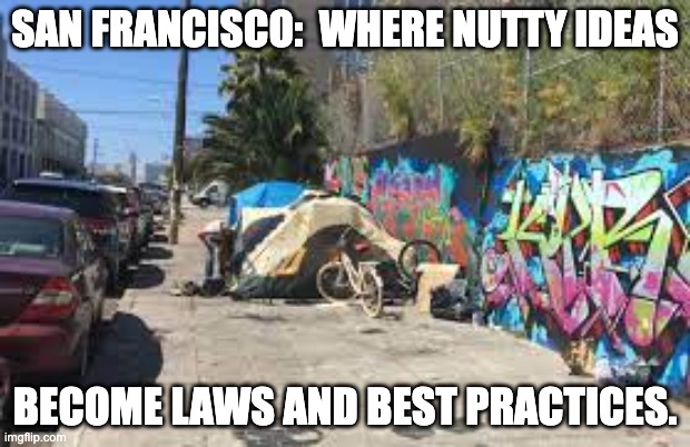 San Fran | SAN FRANCISCO:  WHERE NUTTY IDEAS; BECOME LAWS AND BEST PRACTICES. | image tagged in victims of leftist terrorism the citizens of san francisco | made w/ Imgflip meme maker