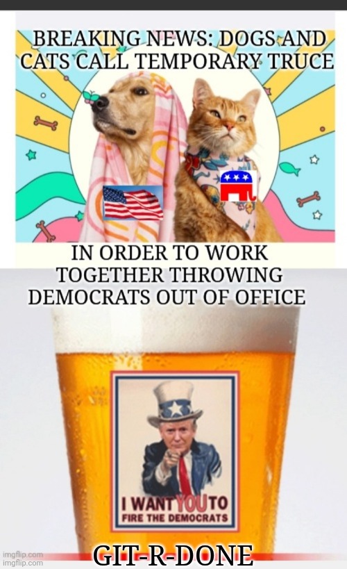 Yes, It's That Crucial | GIT-R-DONE | image tagged in cats and dogs,fire,democrats,vote,republican party,git | made w/ Imgflip meme maker