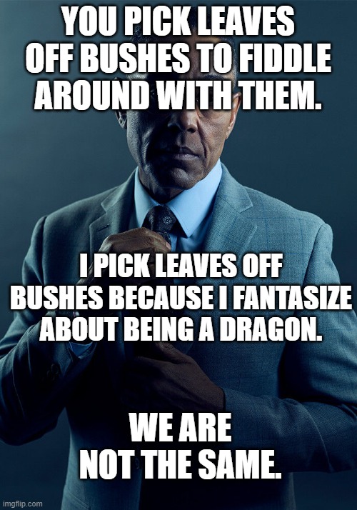 Gus Fring we are not the same | YOU PICK LEAVES OFF BUSHES TO FIDDLE AROUND WITH THEM. I PICK LEAVES OFF BUSHES BECAUSE I FANTASIZE ABOUT BEING A DRAGON. WE ARE NOT THE SAME. | image tagged in gus fring we are not the same | made w/ Imgflip meme maker
