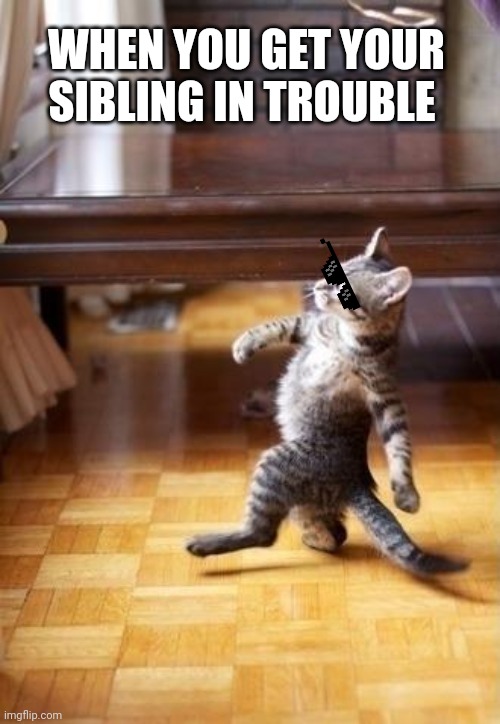 Cool Cat Stroll Meme | WHEN YOU GET YOUR SIBLING IN TROUBLE | image tagged in memes,cool cat stroll | made w/ Imgflip meme maker