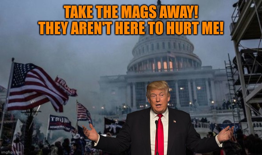Can't wait for the perp walk for diaper don | TAKE THE MAGS AWAY! THEY AREN'T HERE TO HURT ME! | image tagged in misconstrued coup | made w/ Imgflip meme maker