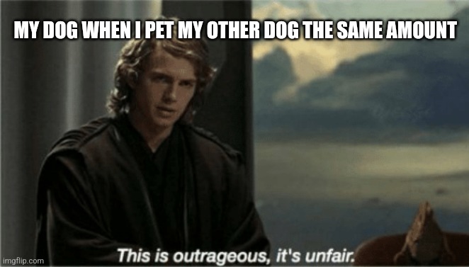 This is outrageous, it's unfair! | MY DOG WHEN I PET MY OTHER DOG THE SAME AMOUNT | image tagged in this is outrageous it's unfair,dogs | made w/ Imgflip meme maker