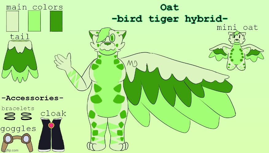 I made a ref sheet for oat, took a while but I'm happy with it (my art and character) | image tagged in furry,art,drawings,cats,birds,tigers | made w/ Imgflip meme maker