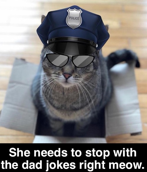 She needs to stop with the dad jokes right meow. | made w/ Imgflip meme maker