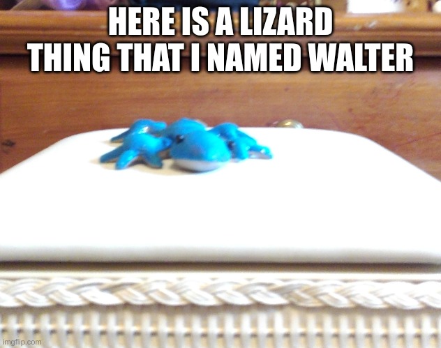 bad quality photo | HERE IS A LIZARD THING THAT I NAMED WALTER | made w/ Imgflip meme maker