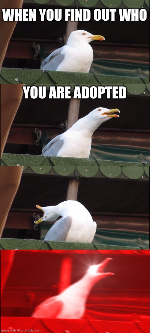 Tried the wacky AI on Imgflip. | WHEN YOU FIND OUT WHO; YOU ARE ADOPTED | image tagged in memes,inhaling seagull | made w/ Imgflip meme maker