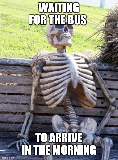 Waiting Skeleton | WAITING FOR THE BUS; TO ARRIVE IN THE MORNING | image tagged in memes,waiting skeleton | made w/ Imgflip meme maker