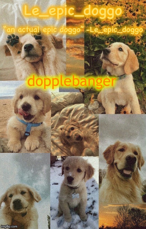 Doggo temp by doggo. Wait what that’s confusing | dopplebanger | image tagged in doggo temp by doggo wait what that s confusing | made w/ Imgflip meme maker