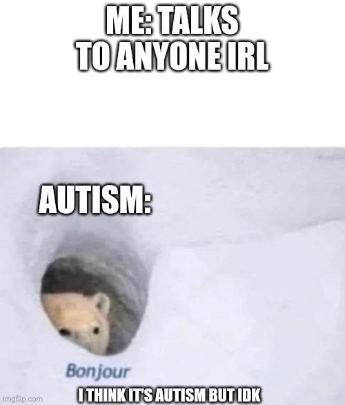 Bonjour | ME: TALKS TO ANYONE IRL; AUTISM:; I THINK IT'S AUTISM BUT IDK | image tagged in bonjour | made w/ Imgflip meme maker
