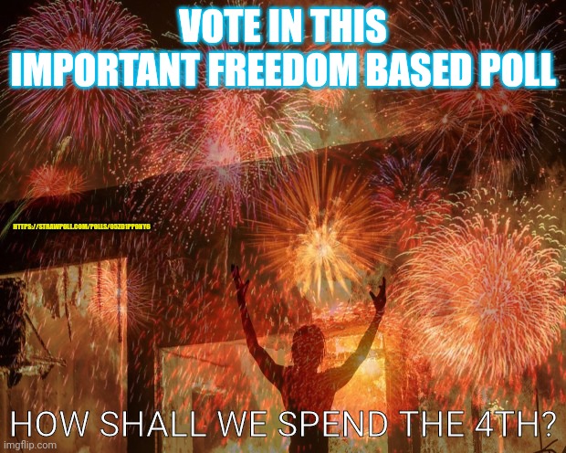 Important political poll | VOTE IN THIS IMPORTANT FREEDOM BASED POLL; HTTPS://STRAWPOLL.COM/POLLS/05ZD1PP0NY6; HOW SHALL WE SPEND THE 4TH? | image tagged in politics,polls,its time to stop | made w/ Imgflip meme maker