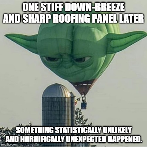 Yoda Balloon | ONE STIFF DOWN-BREEZE AND SHARP ROOFING PANEL LATER; SOMETHING STATISTICALLY UNLIKELY AND HORRIFICALLY UNEXPECTED HAPPENED. | image tagged in yoda balloon | made w/ Imgflip meme maker