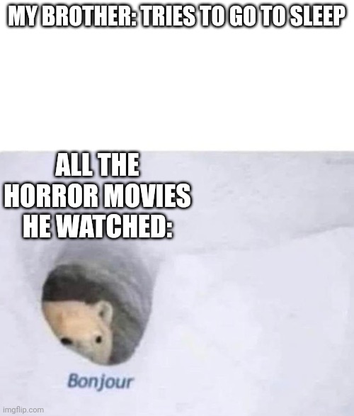 Bonjour | MY BROTHER: TRIES TO GO TO SLEEP; ALL THE HORROR MOVIES HE WATCHED: | image tagged in bonjour | made w/ Imgflip meme maker