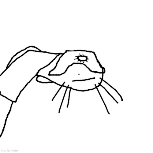 Blank Transparent Square Meme | image tagged in memes,blank transparent square | made w/ Imgflip meme maker