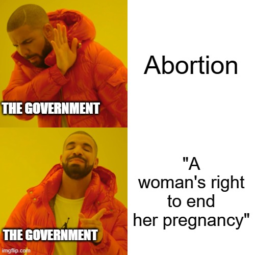 Either way you call it abortion is bad | Abortion; THE GOVERNMENT; "A woman's right to end her pregnancy"; THE GOVERNMENT | image tagged in memes,drake hotline bling,abortion is murder | made w/ Imgflip meme maker