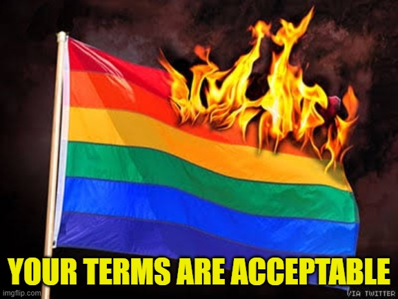 LGBTQ flag burning | YOUR TERMS ARE ACCEPTABLE | image tagged in lgbtq flag burning | made w/ Imgflip meme maker