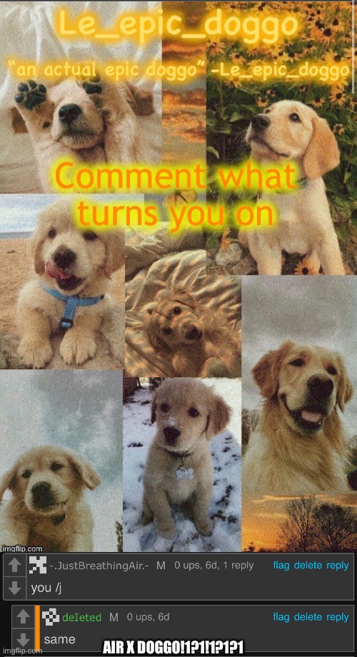 AIR X DOGGO!1?1!1?1?1 | made w/ Imgflip meme maker