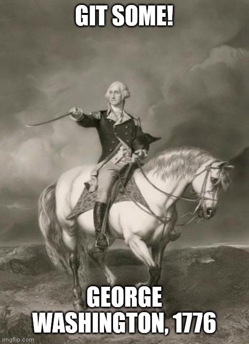 adventures of george washington | GIT SOME! GEORGE WASHINGTON, 1776 | image tagged in adventures of george washington | made w/ Imgflip meme maker