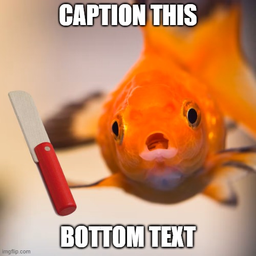 goldfish of doom | CAPTION THIS; BOTTOM TEXT | image tagged in goldfish holding toy knife | made w/ Imgflip meme maker
