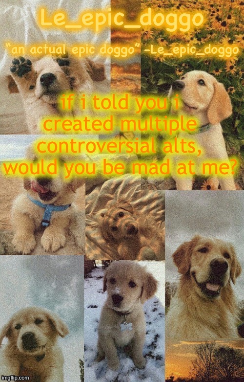 Doggo temp by doggo. Wait what that’s confusing | if i told you i created multiple controversial alts, would you be mad at me? | image tagged in doggo temp by doggo wait what that s confusing | made w/ Imgflip meme maker