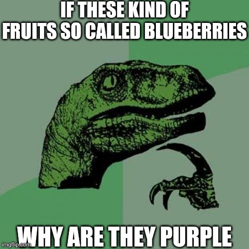 Philosoraptor Meme Imgflip